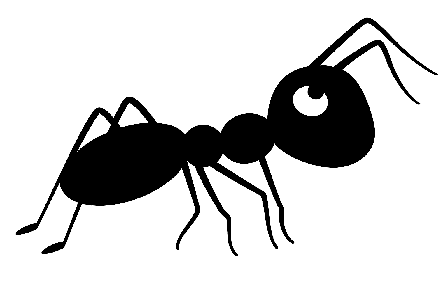 AntStat
