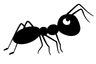 AntStat