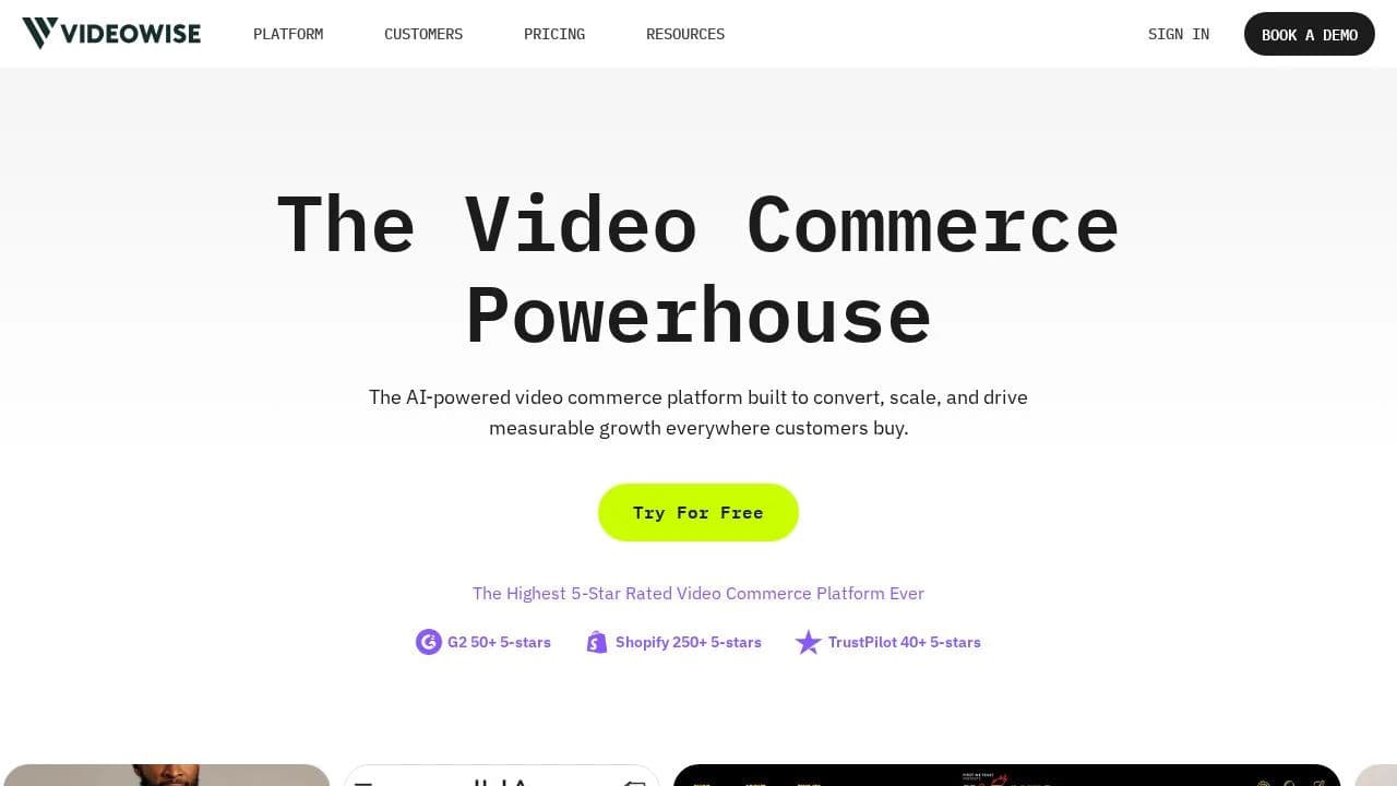 Videowise preview
